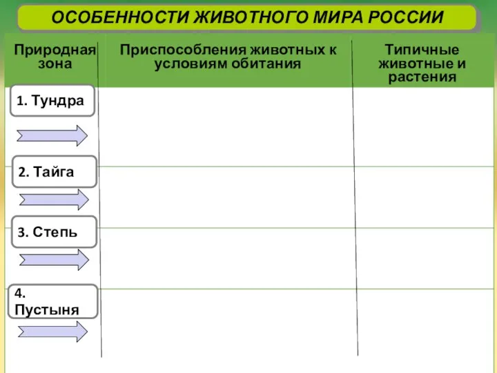 ОСОБЕННОСТИ ЖИВОТНОГО МИРА РОССИИ 1. Тундра 2. Тайга 3. Степь 4. Пустыня