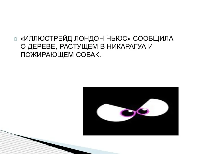 «ИЛЛЮСТРЕЙД ЛОНДОН НЬЮС» СООБЩИЛА О ДЕРЕВЕ, РАСТУЩЕМ В НИКАРАГУА И ПОЖИРАЮЩЕМ СОБАК.