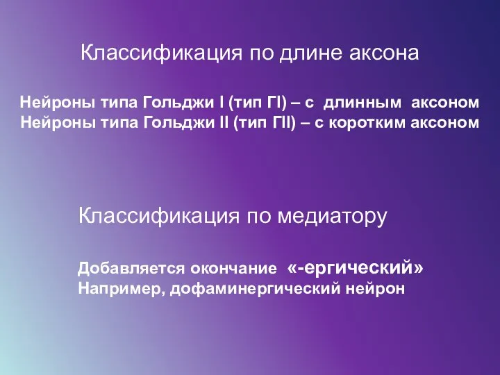 Классификация по длине аксона Нейроны типа Гольджи I (тип ГI) – с