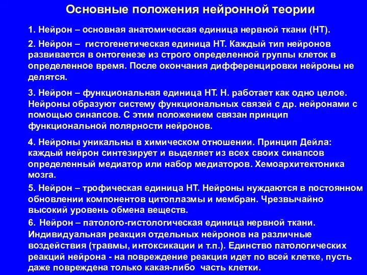 Основные положения нейронной теории 1. Нейрон – основная анатомическая единица нервной ткани