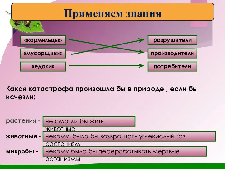 Какая катастрофа произошла бы в природе , если бы исчезли: растения -