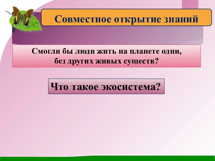 Смогли бы люди жить на планете одни, без других живых существ? Что