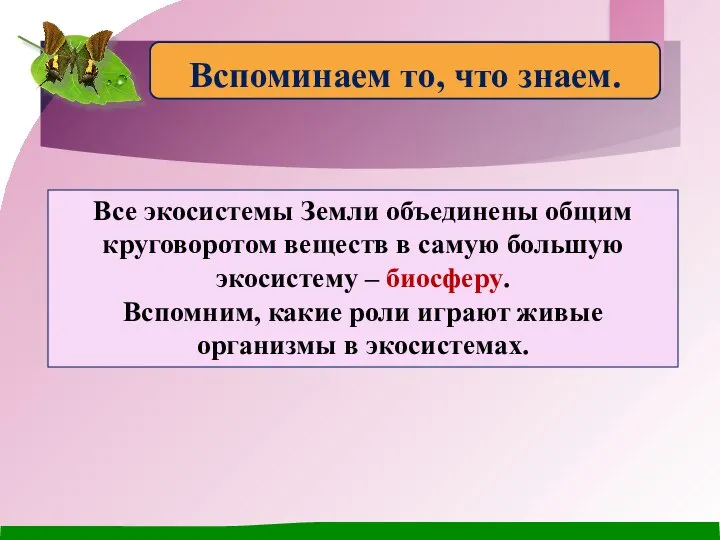 Все экосистемы Земли объединены общим круговоротом веществ в самую большую экосистему –