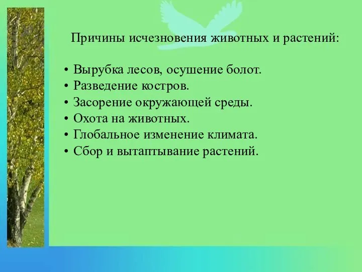 Причины исчезновения животных и растений: Вырубка лесов, осушение болот. Разведение костров. Засорение