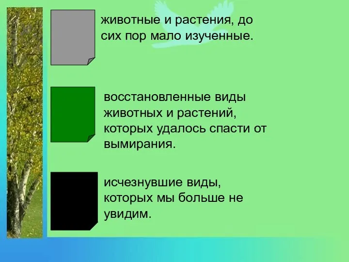 животные и растения, до сих пор мало изученные. восстановленные виды животных и