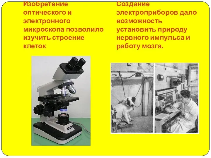 Изобретение оптического и электронного микроскопа позволило изучить строение клеток Создание электроприборов дало