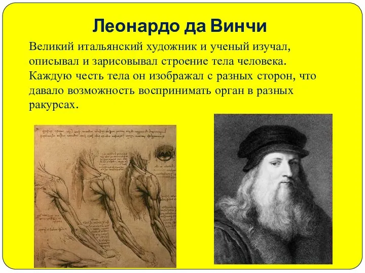 Леонардо да Винчи Великий итальянский художник и ученый изучал, описывал и зарисовывал