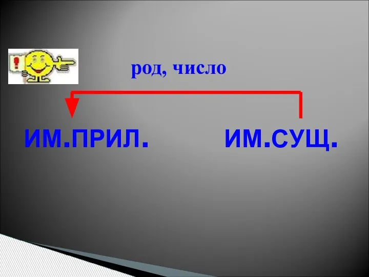 ИМ.ПРИЛ. ИМ.СУЩ. род, число