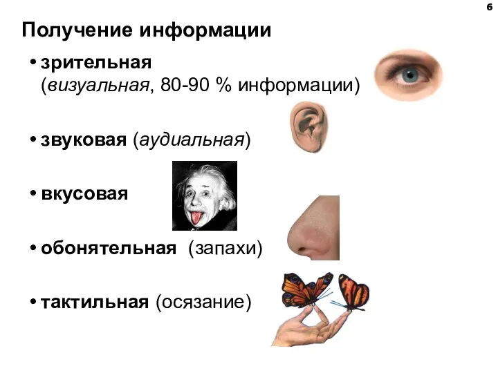 Получение информации зрительная (визуальная, 80-90 % информации) звуковая (аудиальная) вкусовая обонятельная (запахи) тактильная (осязание)