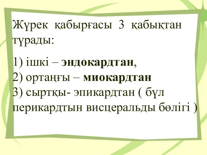 Жүрек қабырғасы 3 қабықтан түрады: 1) iшкi – эндокардтан, 2) ортаңғы –