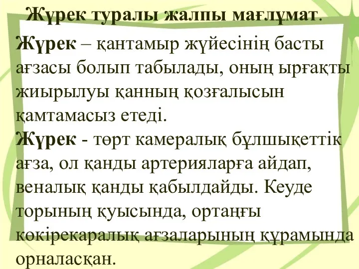 Жүрек туралы жалпы мағлұмат. Жүрек – қантамыр жүйесiнiң басты ағзасы болып табылады,