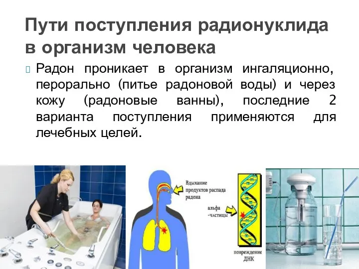 Радон проникает в организм ингаляционно, перорально (питье радоновой воды) и через кожу