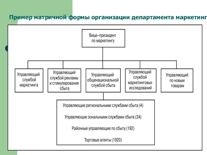 Пример матричной формы организации департамента маркетинга