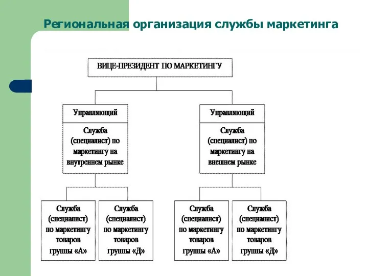 Региональная организация службы маркетинга