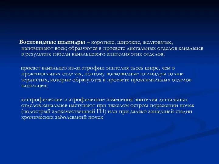 Восковидные цилиндры – короткие, широкие, желтоватые, напоминают воск; образуются в просвете дистальных