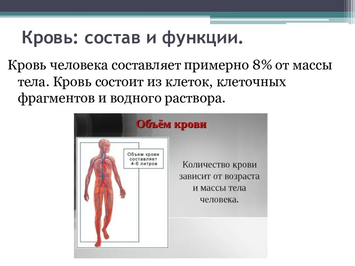 Кровь: состав и функции. Кровь человека составляет примерно 8% от массы тела.