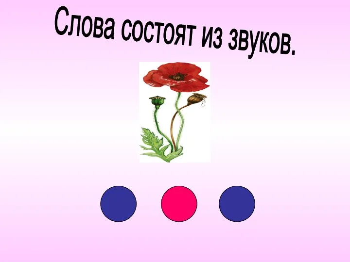 Слова состоят из звуков.