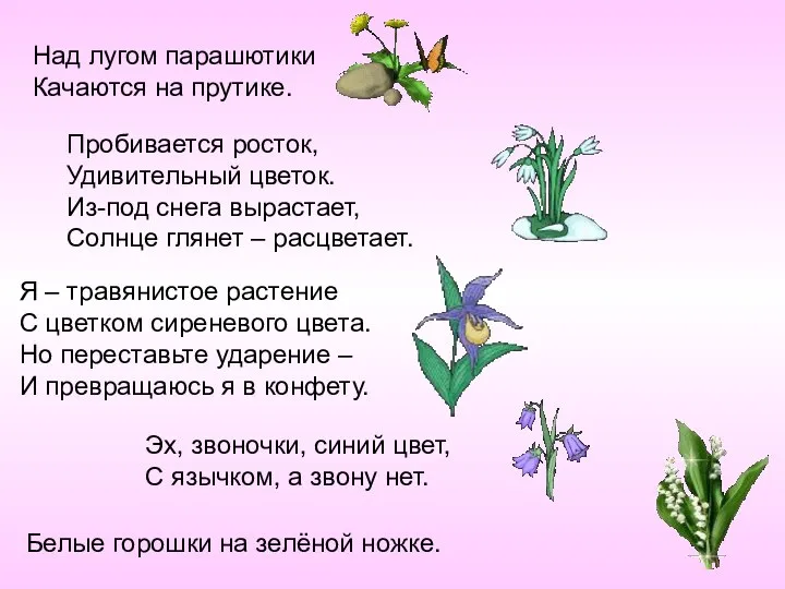 Над лугом парашютики Качаются на прутике. Пробивается росток, Удивительный цветок. Из-под снега