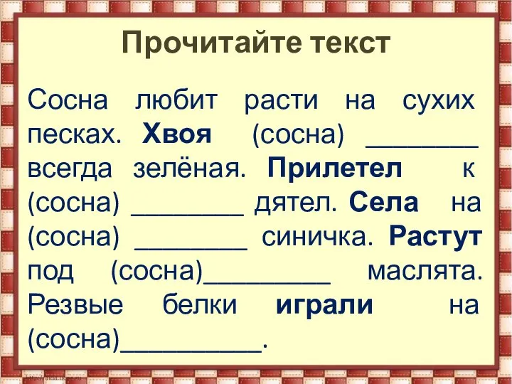 Прочитайте текст Сосна любит расти на сухих песках. Хвоя (сосна) ________ всегда