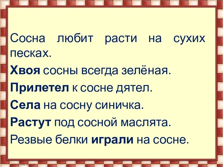 Сосна любит расти на сухих песках. Хвоя сосны всегда зелёная. Прилетел к