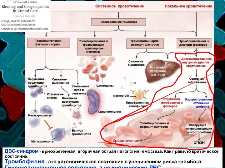 ДВС-синдром - приобретённая, вторичная острая патология гемостаза. Как правило критическое состояние. Тромбофилия