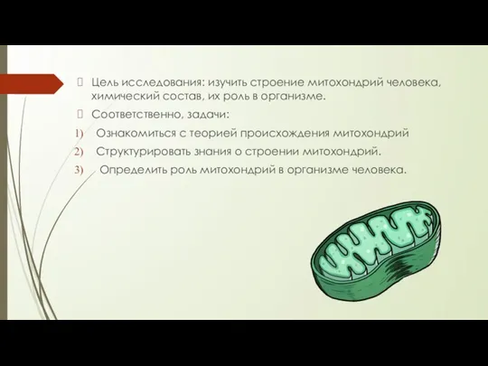 Цель исследования: изучить строение митохондрий человека, химический состав, их роль в организме.