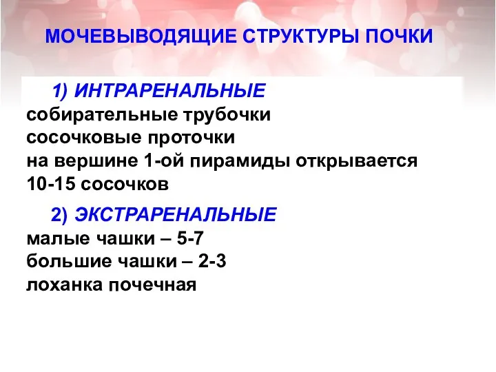 МОЧЕВЫВОДЯЩИЕ СТРУКТУРЫ ПОЧКИ 1) ИНТРАРЕНАЛЬНЫЕ собирательные трубочки сосочковые проточки на вершине 1-ой