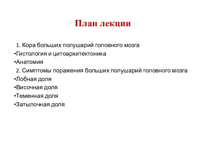 План лекции 1. Кора больших полушарий головного мозга Гистология и цитоархитектоника Анатомия