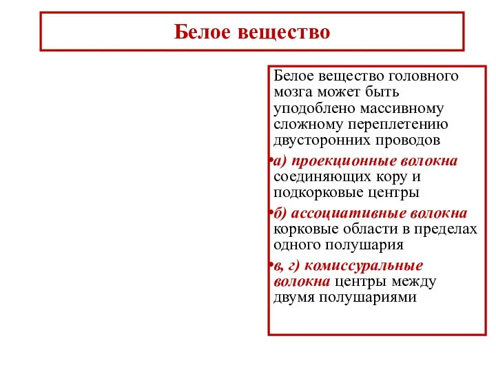 Белое вещество Белое вещество головного мозга может быть уподоблено массивному сложному переплетению