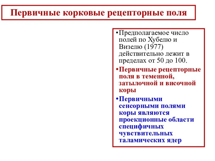 Предполагаемое число полей по Хубелю и Визелю (1977) действительно лежит в пределах