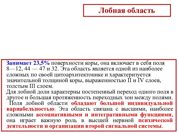 Лобная область Занимает 23,5% поверхности коры, она включает в себя поля 8—12,