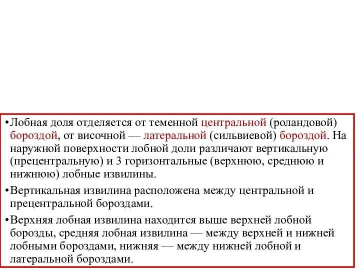 Лобная доля отделяется от теменной центральной (роландовой) бороздой, от височной — латеральной