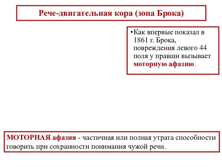 Рече-двигательная кора (зона Брока) Как впервые показал в 1861 г. Брока, повреждения