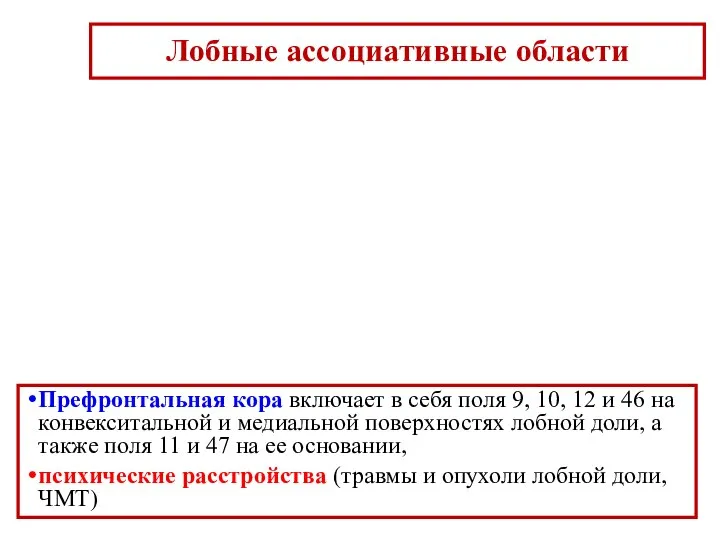 Лобные ассоциативные области Префронтальная кора включает в себя поля 9, 10, 12