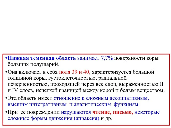 Нижняя теменная область занимает 7,7% поверхности коры больших полушарий. Она включает в