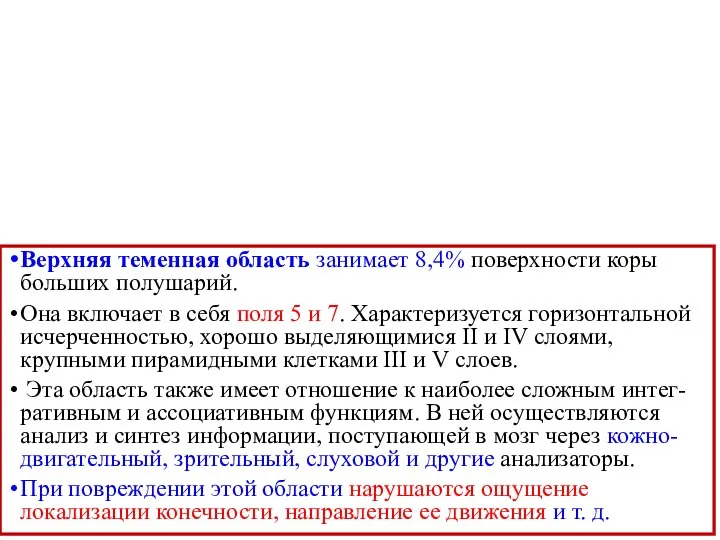 Верхняя теменная область занимает 8,4% поверхности коры больших полушарий. Она включает в