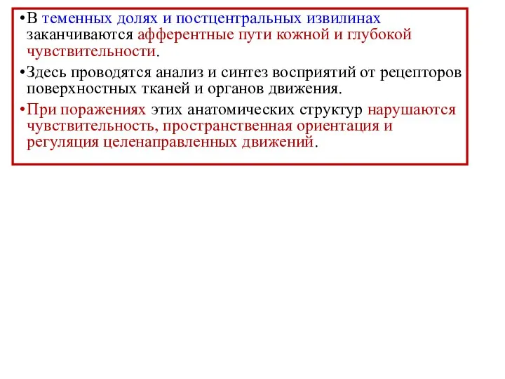 В теменных долях и постцентральных извилинах заканчиваются афферентные пути кожной и глубокой