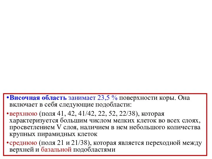 Височная область занимает 23,5 % поверхности коры. Она включает в себя следующие