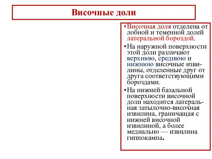 Височные доли Височная доля отделена от лобной и теменной долей латеральной бороздой.