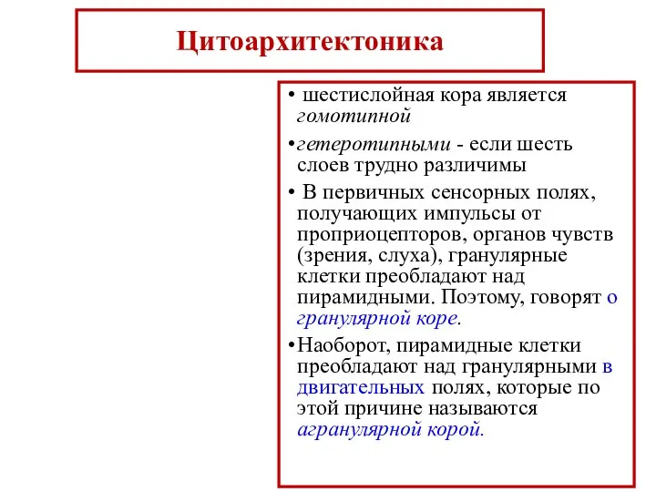 Цитоархитектоника шестислойная кора является гомотипной гетеротипными - если шесть слоев трудно различимы