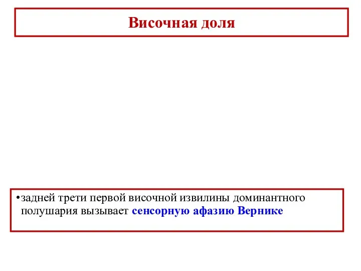 задней трети первой височной извилины доминантного полушария вызывает сенсорную афазию Вернике Височная доля