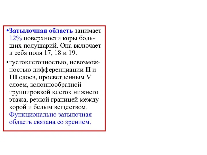 Затылочная область занимает 12% поверхности коры боль-ших полушарий. Она включает в себя