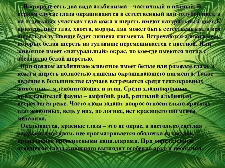 В природе есть два вида альбинизма – частичный и полный. В первом