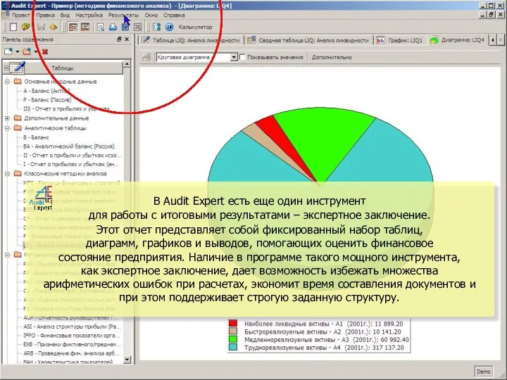 В Audit Expert есть еще один инструмент для работы с итоговыми результатами