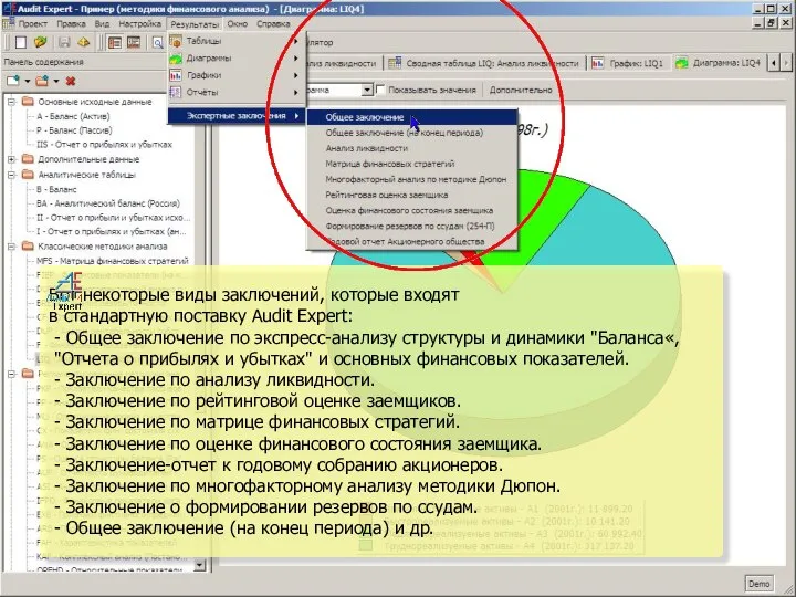 Вот некоторые виды заключений, которые входят в стандартную поставку Audit Expert: -