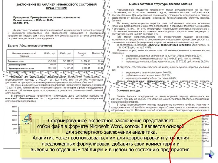 Сформированное экспертное заключение представляет собой файл в формате Microsoft Word, который является