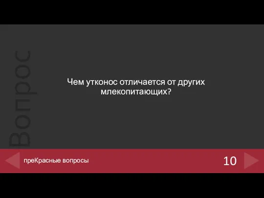 Чем утконос отличается от других млекопитающих? 10 преКрасные вопросы