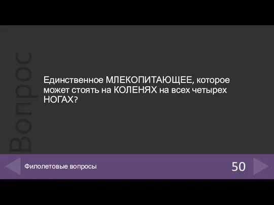 Единственное МЛЕКОПИТАЮЩЕЕ, которое может стоять на КОЛЕНЯХ на всех четырех НОГАХ? 50 Филолетовые вопросы