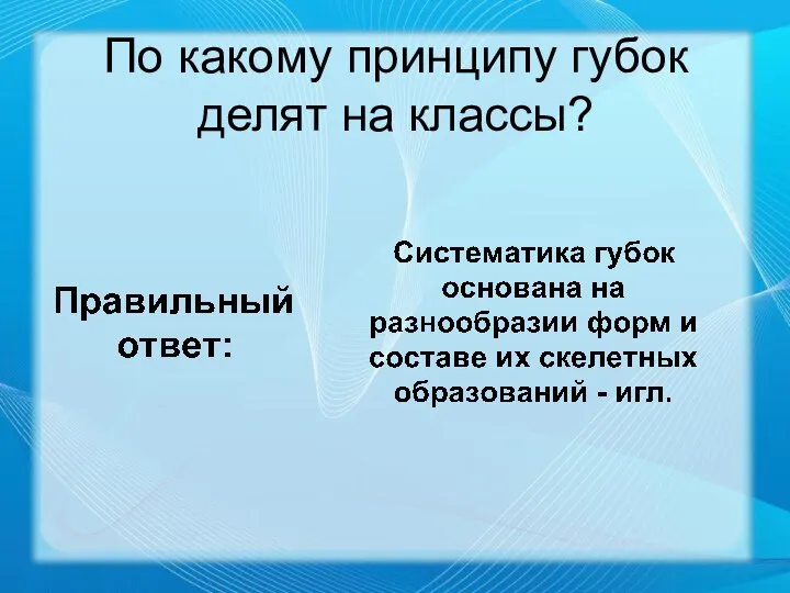 По какому принципу губок делят на классы?