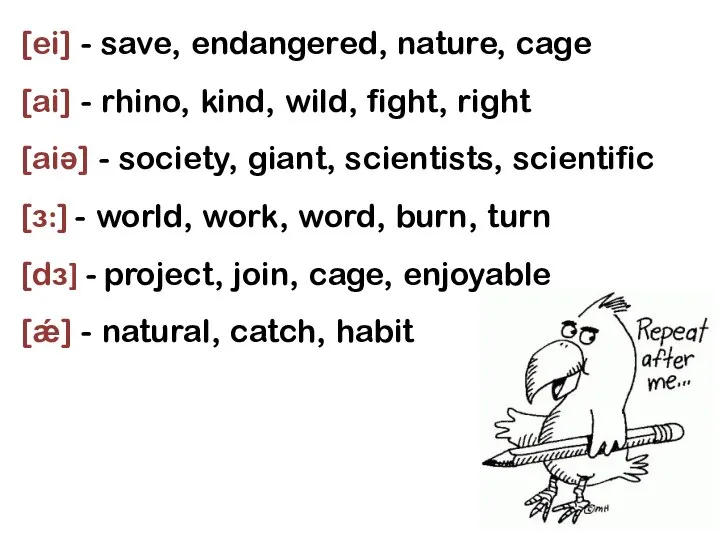 [ei] - save, endangered, nature, cage [ai] - rhino, kind, wild, fight,